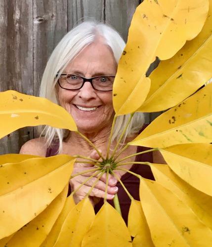 Jill Atchinson Falk obituary, Northampton, Holyoke, Springfield, Chicopee