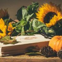 Cheryl Landry obituary, Saint Cloud, Saint Cloud