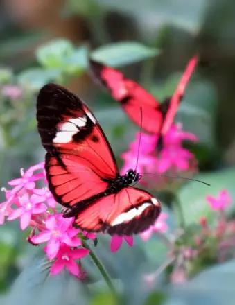 Cynthia Bette Lydic obituary, Wilmington, Wilmington