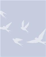 Daniel Oliveri obituary, Augusta, Augusta, Augusta