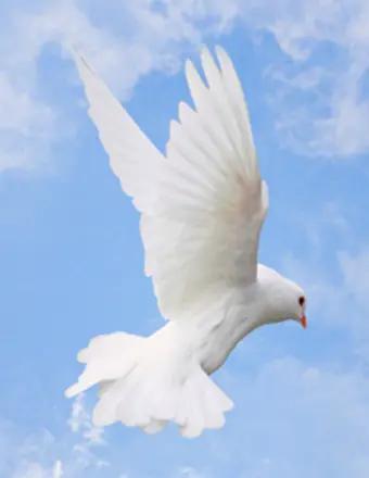 John Stuckey obituary, Indianola, Indianola