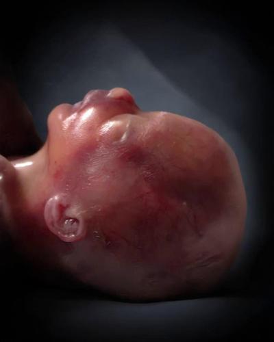 Leo Maxwell Klemm-Wilson obituary, Osceola, Osceola