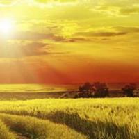 William A Rogers obituary, Saint Cloud, Saint Cloud