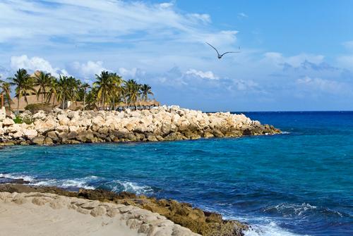 Brandy Wilson obituary, Indianapolis, Indianapolis