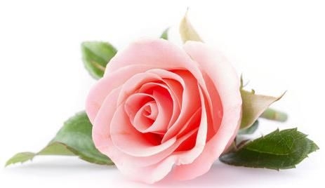 Jill James obituary, , Rotherham