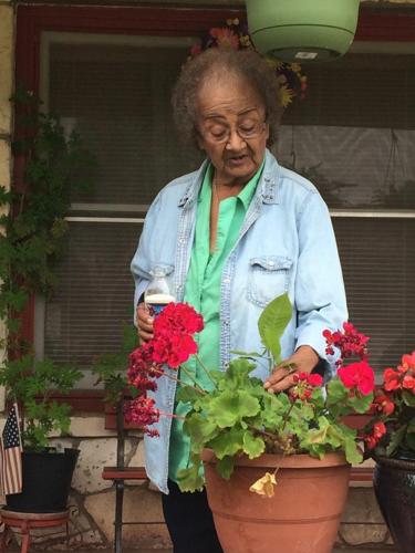 Alicia S. Chacon obituary, Pearsall