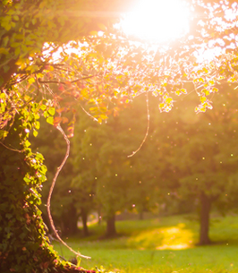 Eileen Pawlowski obituary, Bakersfield, Bakersfield