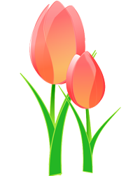 Sandra Ann Hersom (Wolfe) obituary, Brunswick, Bath