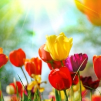 Mrs Linda Estela Anzaldua obituary, Madera, Madera