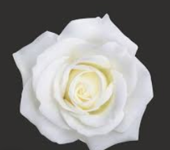 Harry Beeney obituary, , Chichester