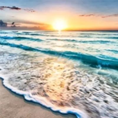 Philippe Preval obituary, Miami, Miami