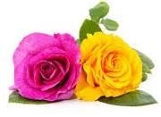 Ken Thorne obituary, , Wakefield