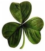 Joe CALLAGHAN obituary, , Edinburgh