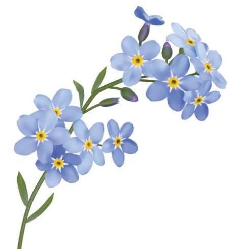 Audrey Richardson obituary, , Houghton le Spring