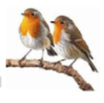 Annie Fletcher obituary, , Sheffield