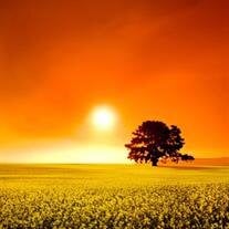 John Packard obituary, Willcox, Willcox