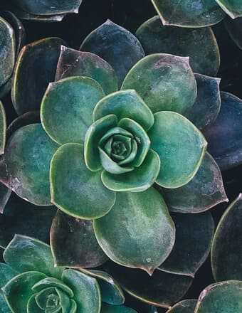 Michael Spearman obituary, Dallas