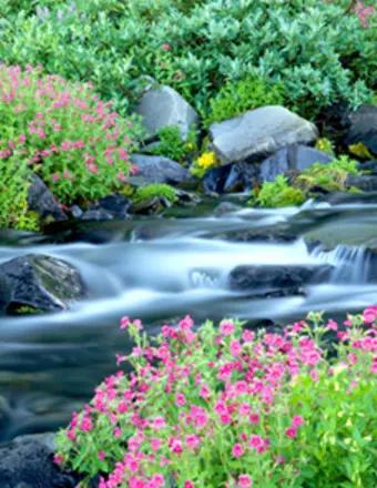 Steven Todd Bennett obituary, Wasilla, Wasilla