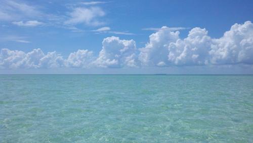 Jonathan Kealoha Ahn