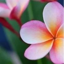 Patricia Ann Acuff obituary, New Market