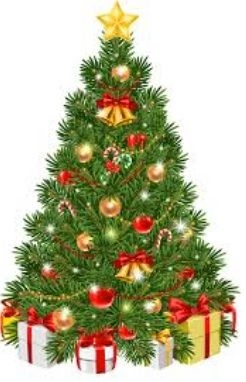 Bradley Kelsall obituary, , Rotherham