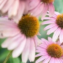 Kelly A. Lull obituary, Wenatchee, Wenatchee