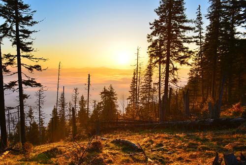 Christopher Kenney obituary, Indianapolis, Indianapolis
