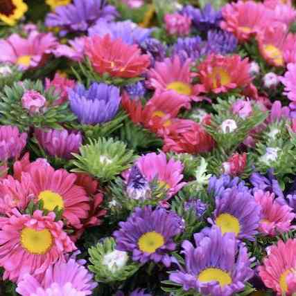 Kevin2 Obie obituary, Denver, 