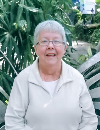 Kathy Lorraine Egan obituary, St. Louis, Honolulu, St. Louis