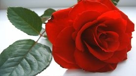 William McGladdery obituary, , Wolverhampton