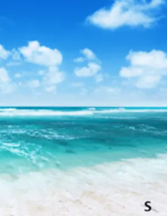 Sylvester P. Person obituary, 