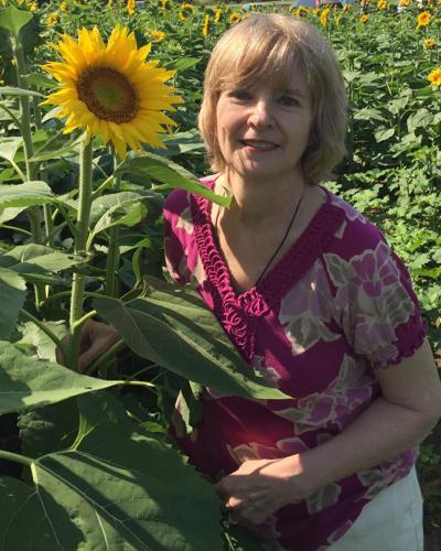 Anita Shaver Jarrell obituary, Monroe, Monroe, Monroe