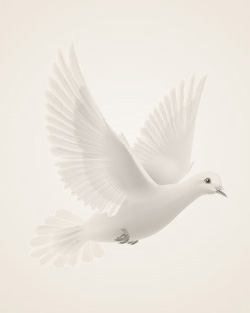 Jane Doe obituary, Southern Pines, Carthage