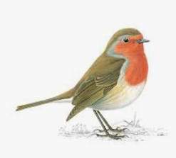 John Dover obituary, , Coventry