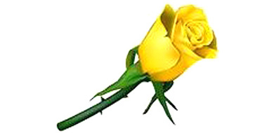 Emily Mere MARRIAGE obituary, , Auckland