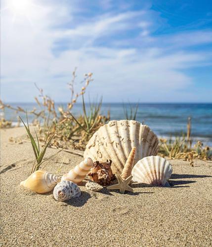 Dee Lee Lanning obituary, Lexington, Lexington