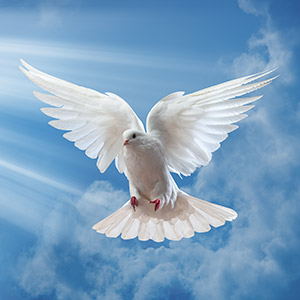 Mary Patricia Hoffman