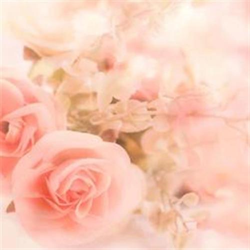 Gretchen M Hollister obituary, Broken Arrow