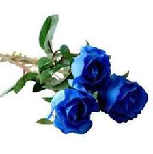 Lavell Stone obituary, Chicago, Chicago