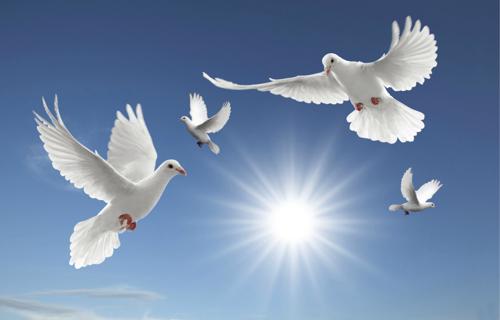 Gloria Cabrera obituary, Elkton, Elkton