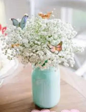 Martha Regina Fye obituary, Brunswick, Brunswick