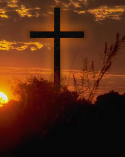 Hans Jochem Buehler obituary, Pisgah Forest