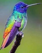 Linda Kay Johnson obituary, Cowen, Webster, Cowen