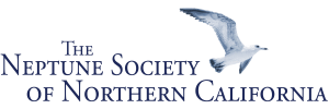 Neptune Society - Fairfield