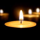 Obit photo for Richard D. Steinecke