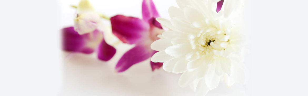 Dollar Photo Club / Botamochy