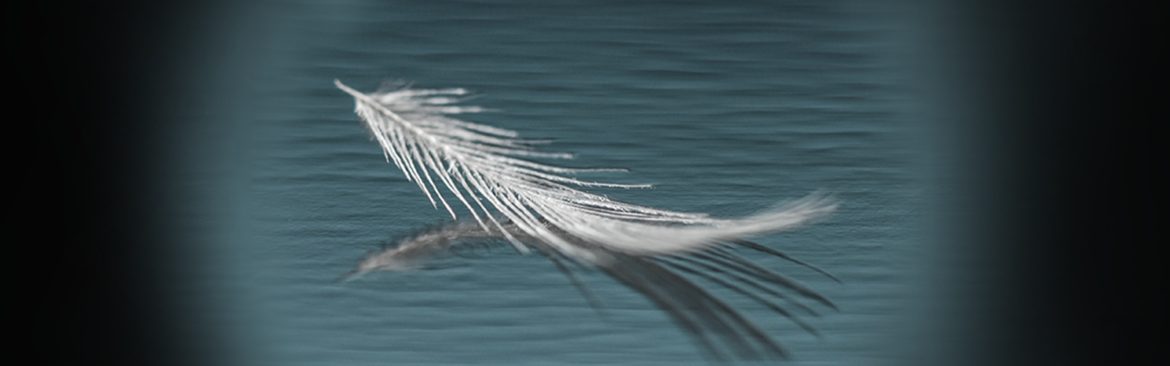 Flickr Creative Commons / Maria Teresa Ambrosi
