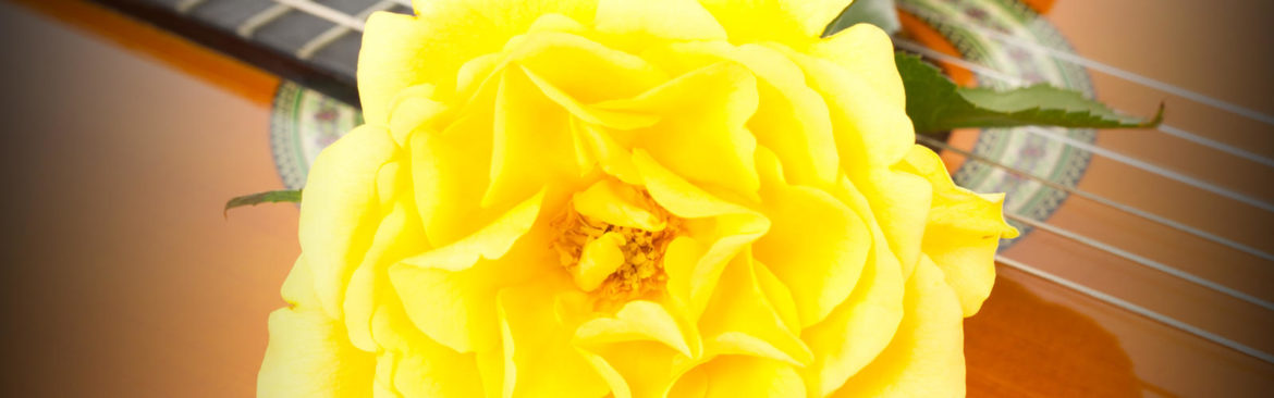 Shutterstock / g wolters