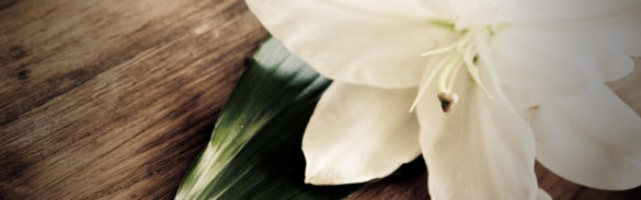 9 of the Best Eulogies