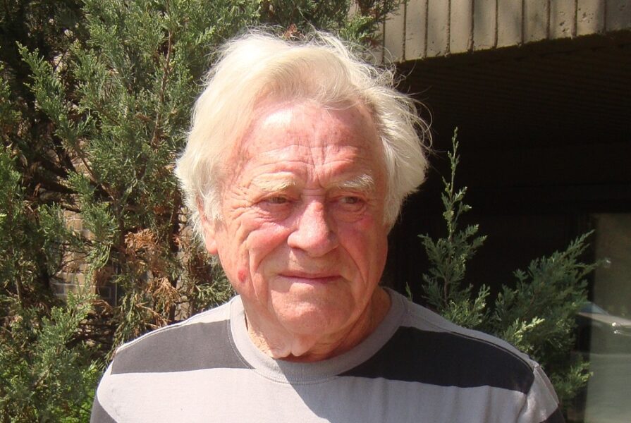 Wikimedia Commons/Anna Frodesiak